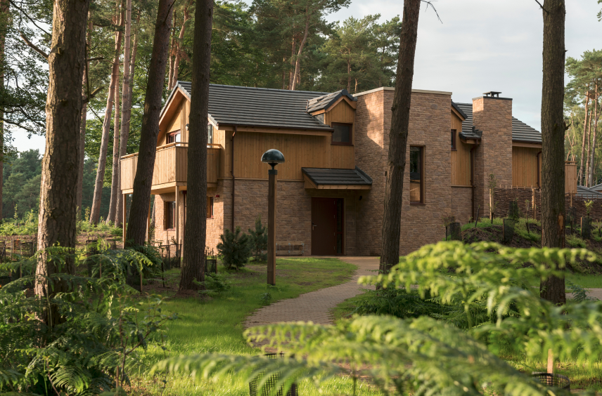 A luxury lodge in a woodland setting